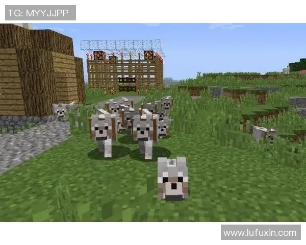 凯尔特人队鲜为人知的十大冷知识揭秘 你可能从未听说过的惊人事实